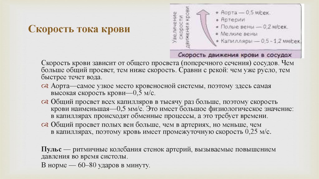 Скорость тока крови
