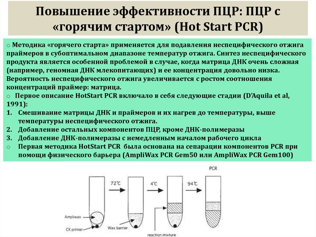 Повышение эффективности ПЦР: ПЦР с «горячим стартом» (Hot Start PCR)