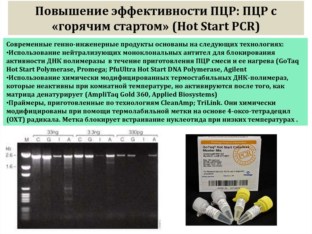 Повышение эффективности ПЦР: ПЦР с «горячим стартом» (Hot Start PCR)