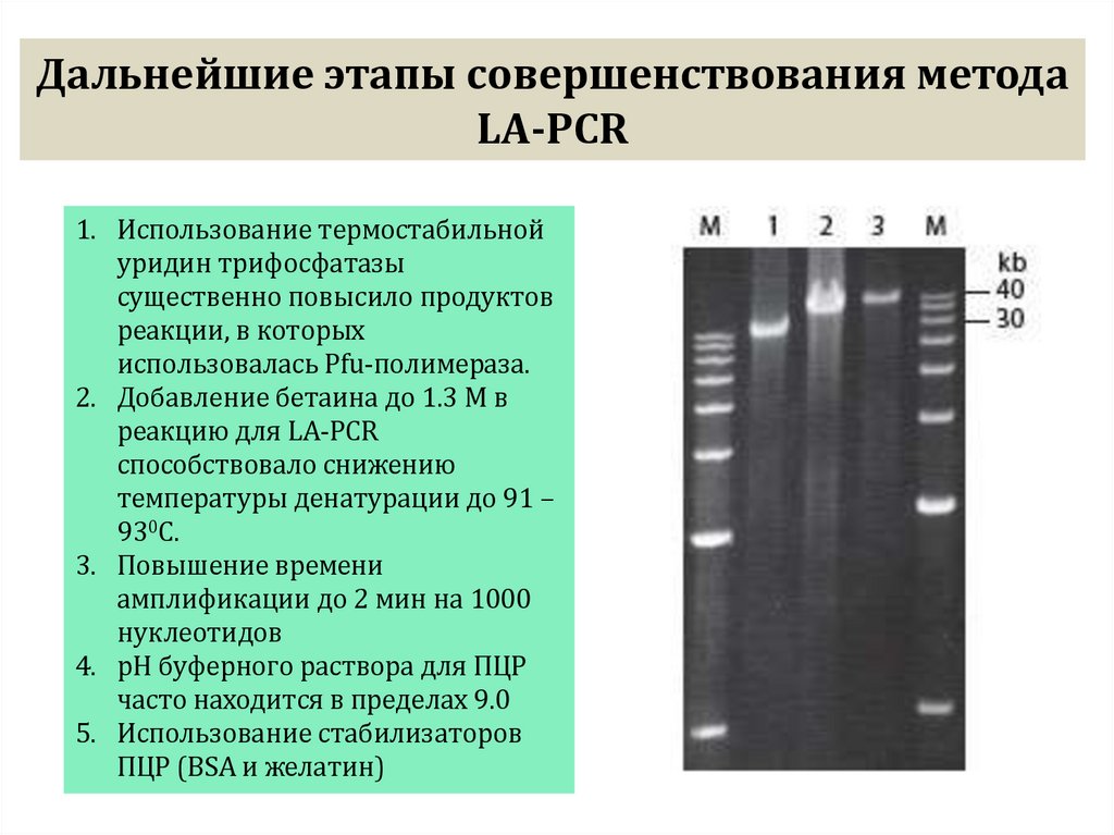Дальнейшие этапы совершенствования метода LA-PCR