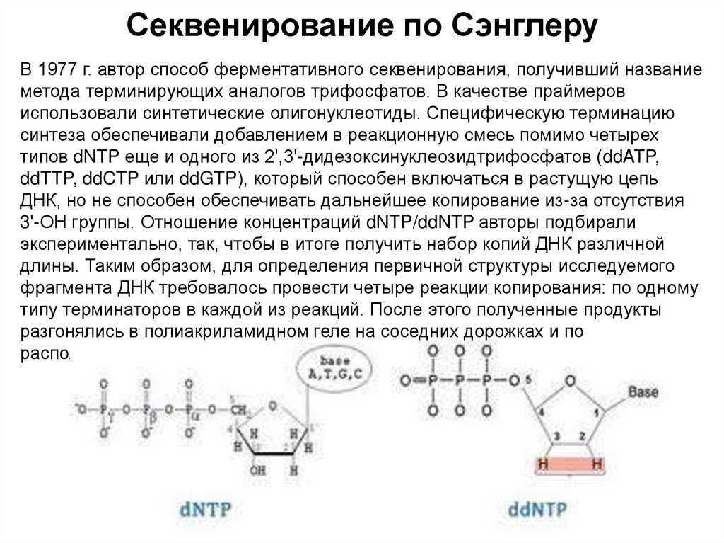 Секвенирование по Сэнглеру