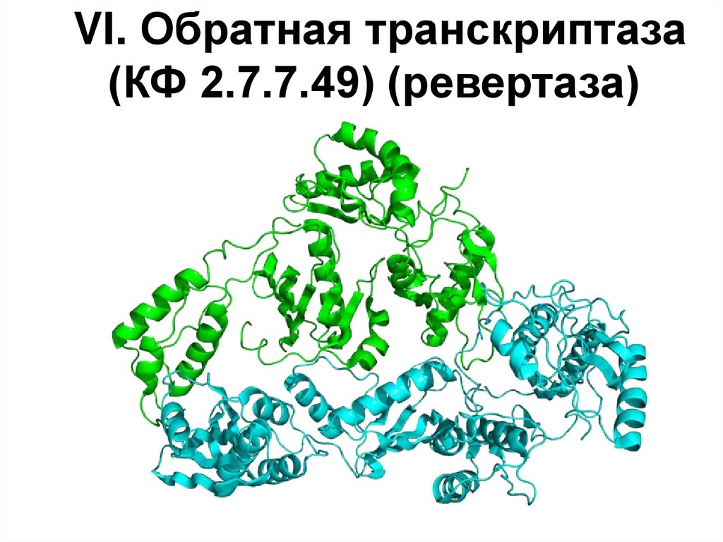 VI. Обратная транскриптаза (КФ 2.7.7.49) (ревертаза)