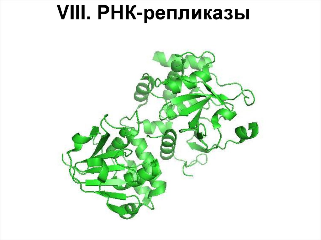 VIII. РНК-репликазы