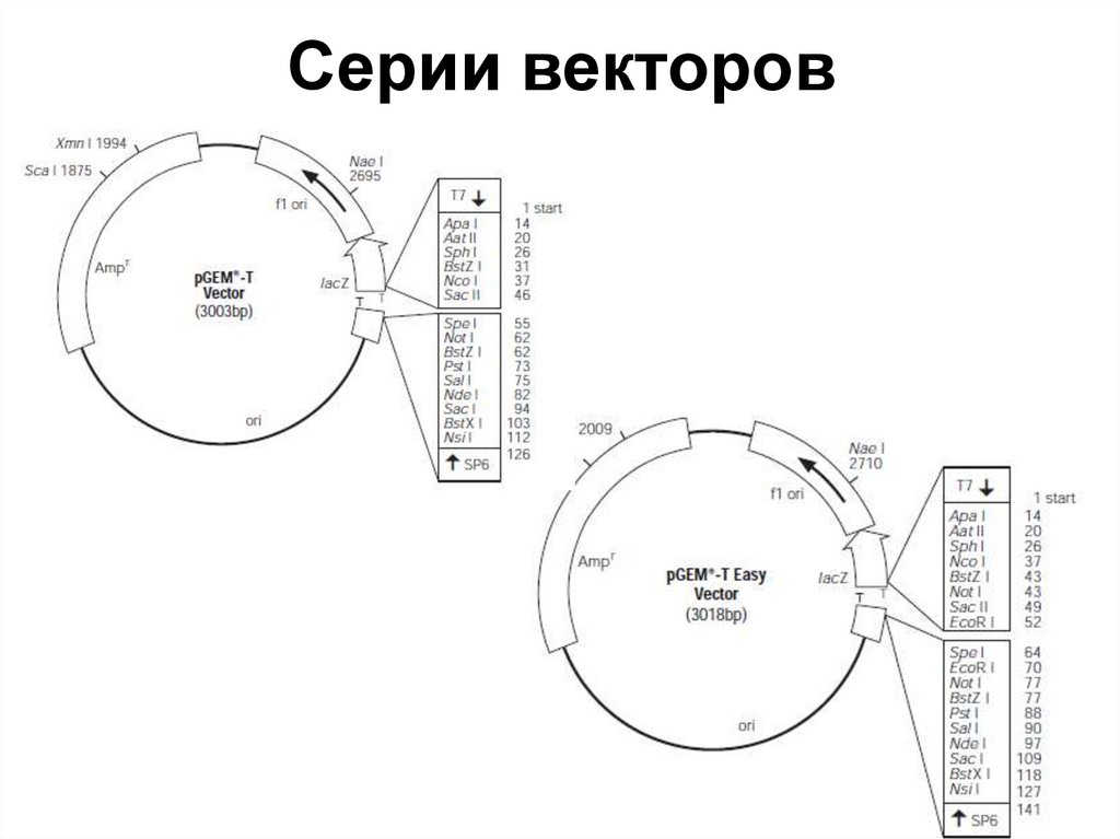 Серии векторов