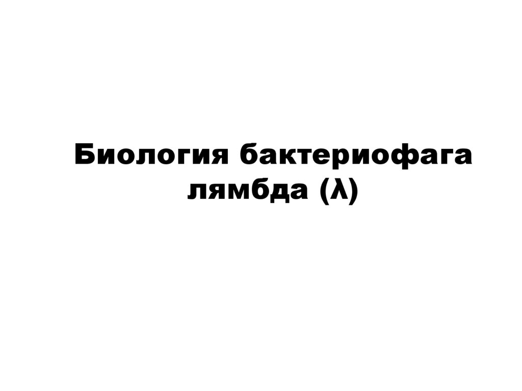 Биология бактериофага лямбда (λ)