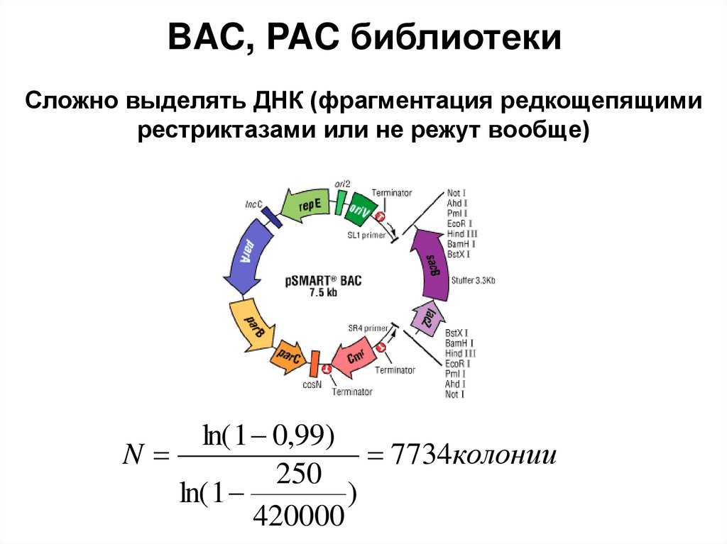 BAC, PAC библиотеки