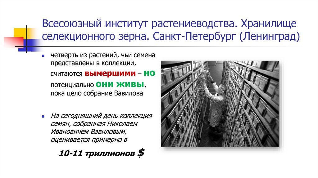 Всесоюзный институт растениеводства. Хранилище селекционного зерна. Санкт-Петербург (Ленинград)