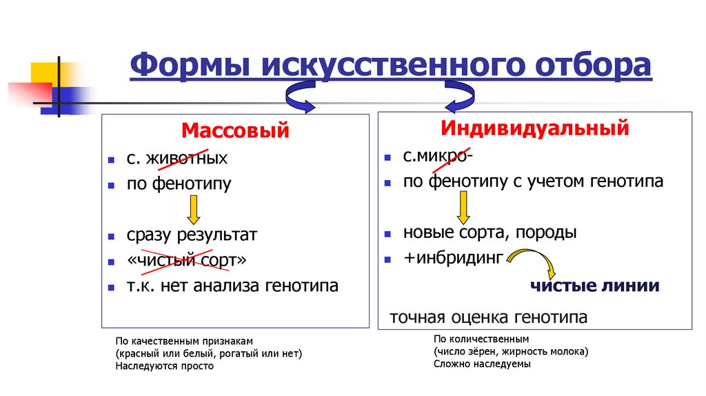 Формы искусственного отбора