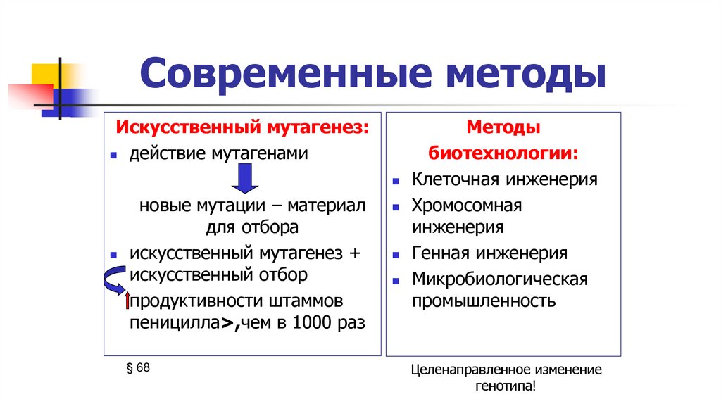 Современные методы