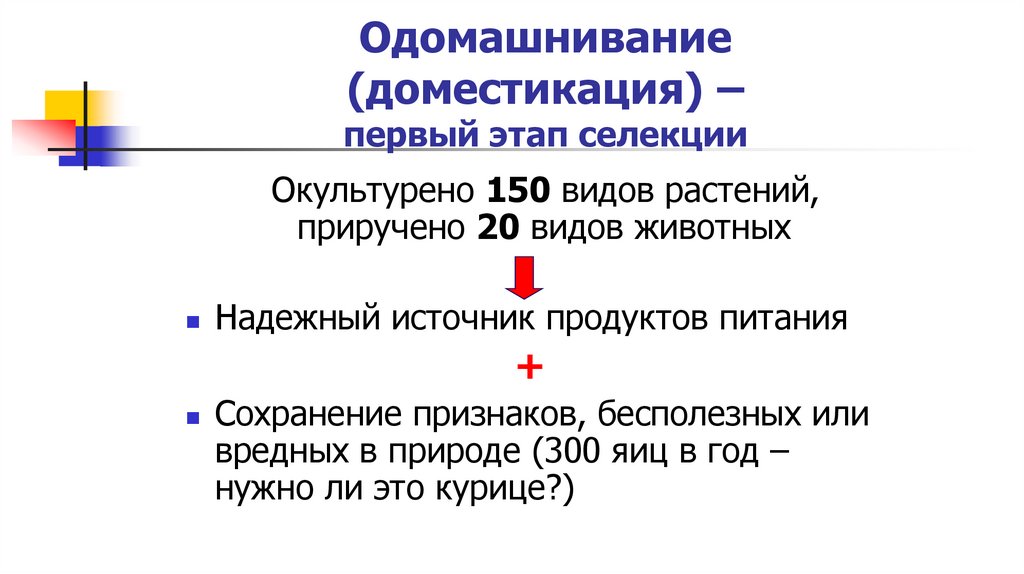 Одомашнивание (доместикация) – первый этап селекции
