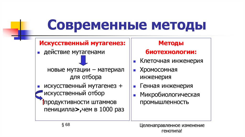 Современные методы