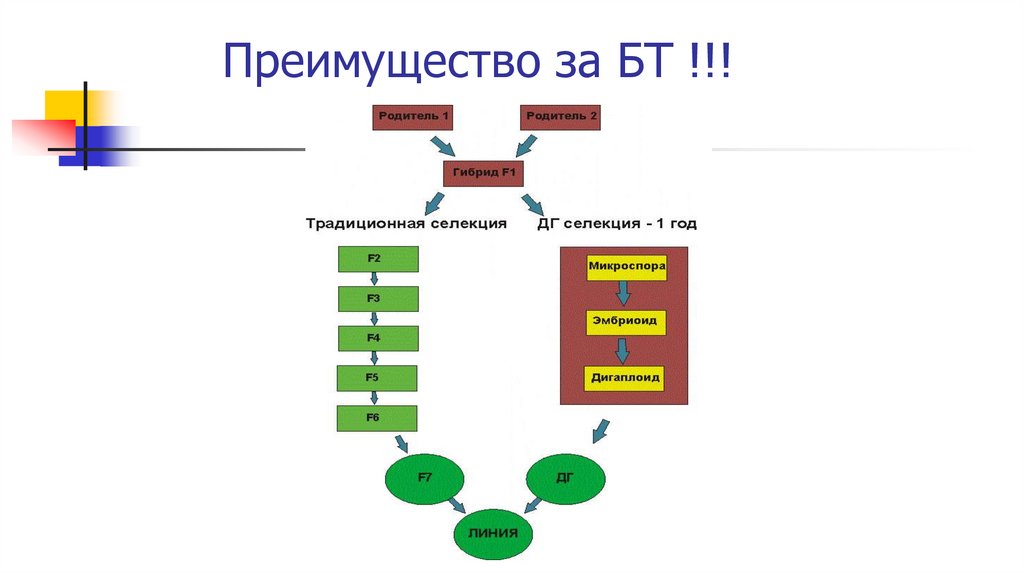 Преимущество за БТ !!!