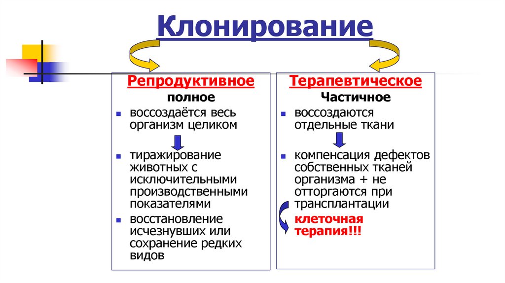 Клонирование
