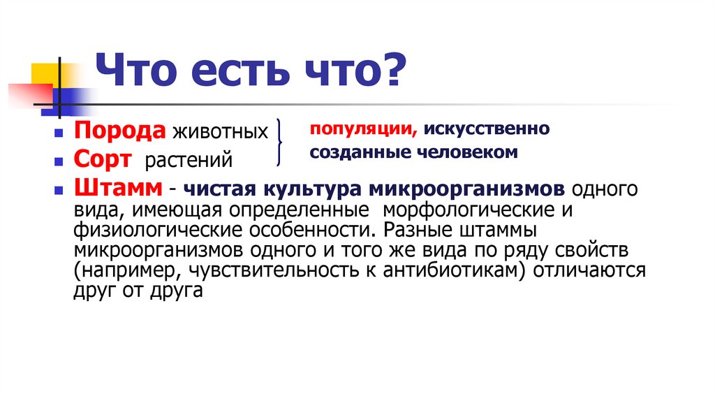 Что есть что?