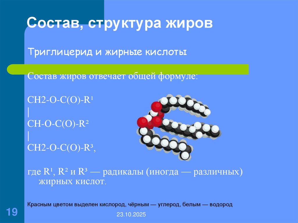 Состав, структура жиров