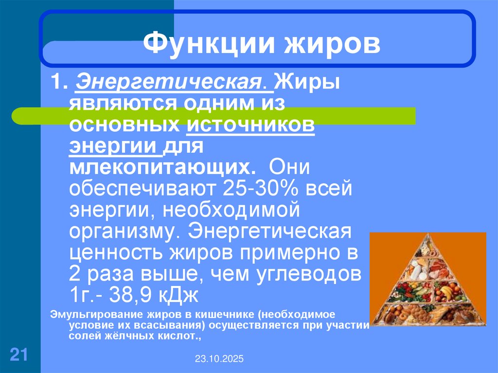 Функции жиров