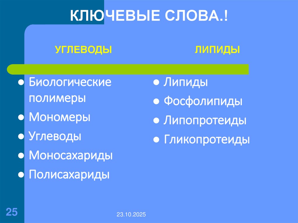 КЛЮЧЕВЫЕ СЛОВА.!