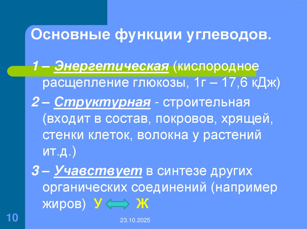 Основные функции углеводов.