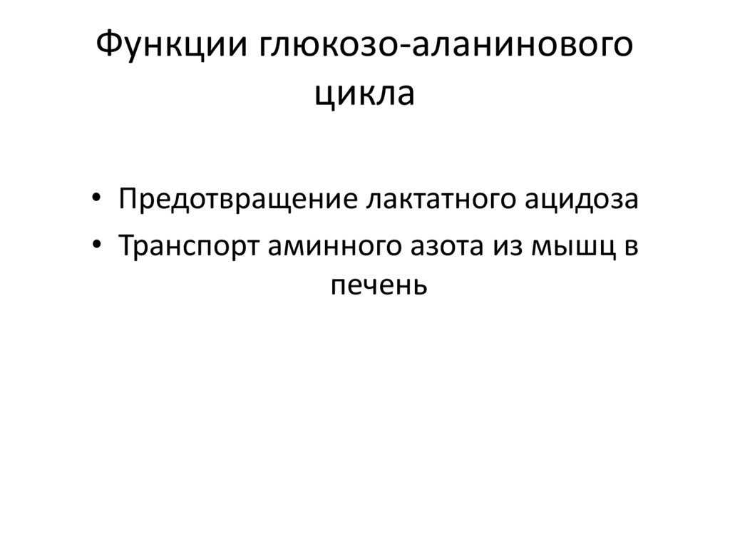Функции глюкозо-аланинового цикла