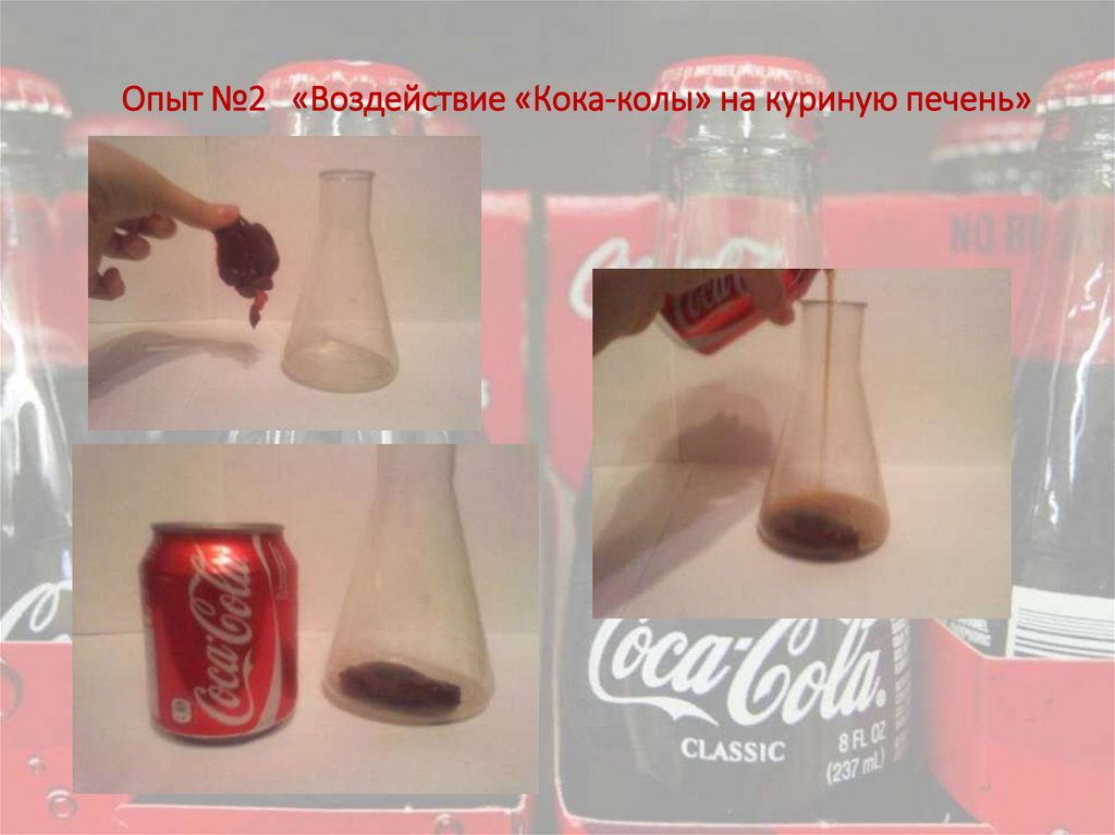 Опыт №2 «Воздействие «Кока-колы» на куриную печень»