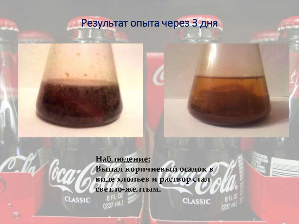 Результат опыта через 3 дня