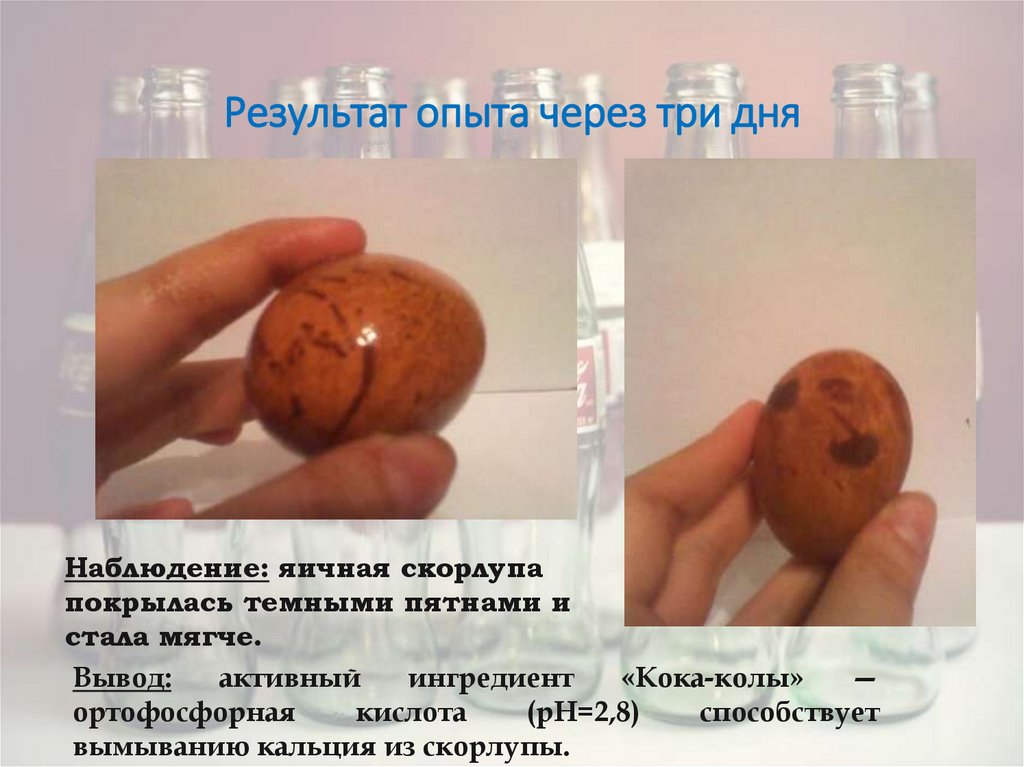 Результат опыта через три дня