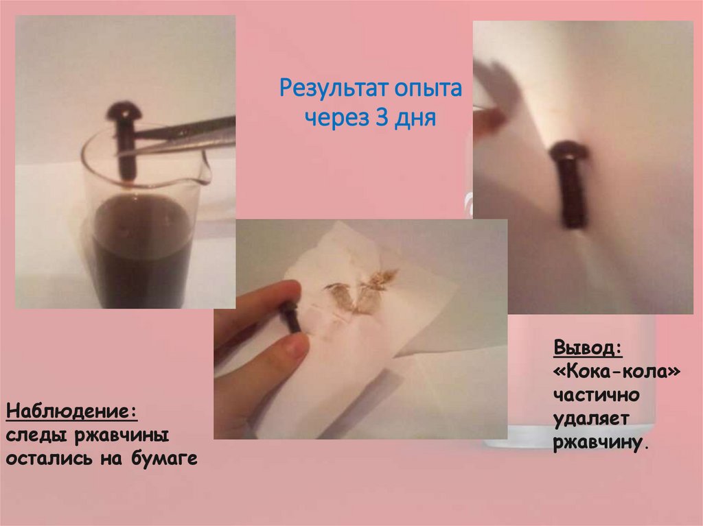 Результат опыта через 3 дня