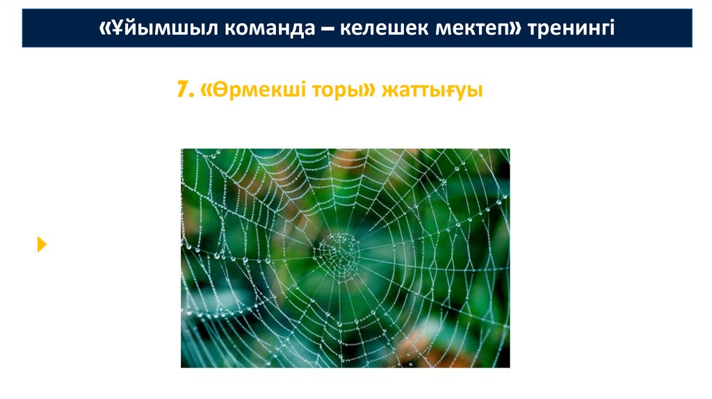 «Ұйымшыл команда – келешек мектеп» тренингі