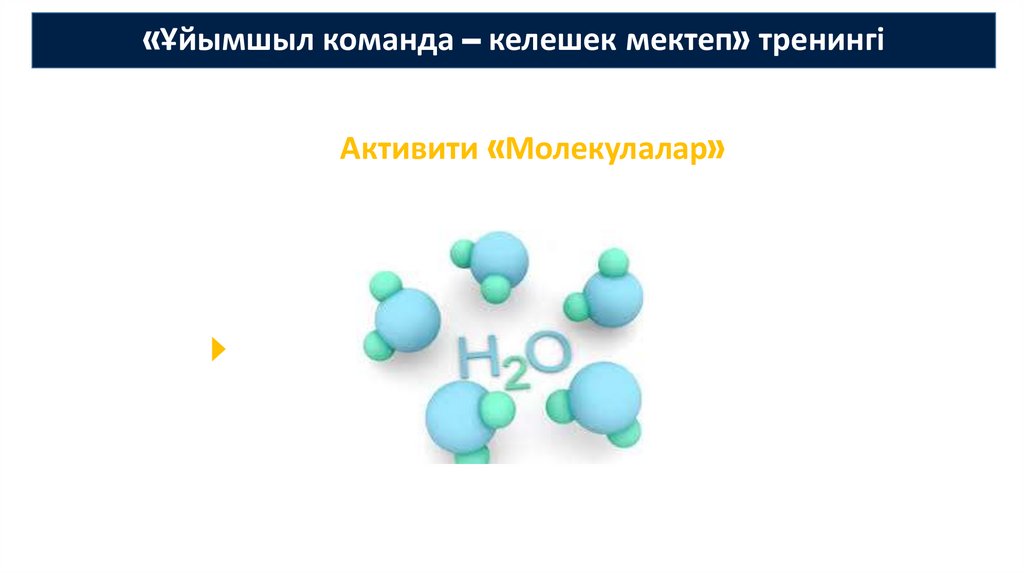 «Ұйымшыл команда – келешек мектеп» тренингі