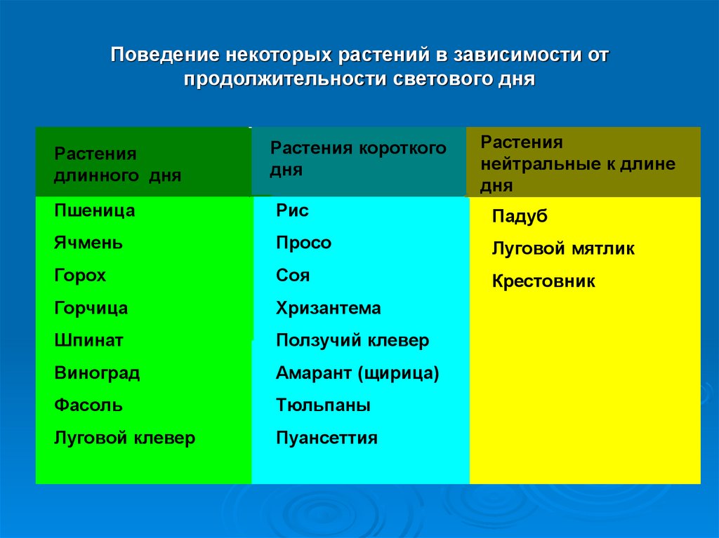 Поведение некоторых растений в зависимости от продолжительности светового дня