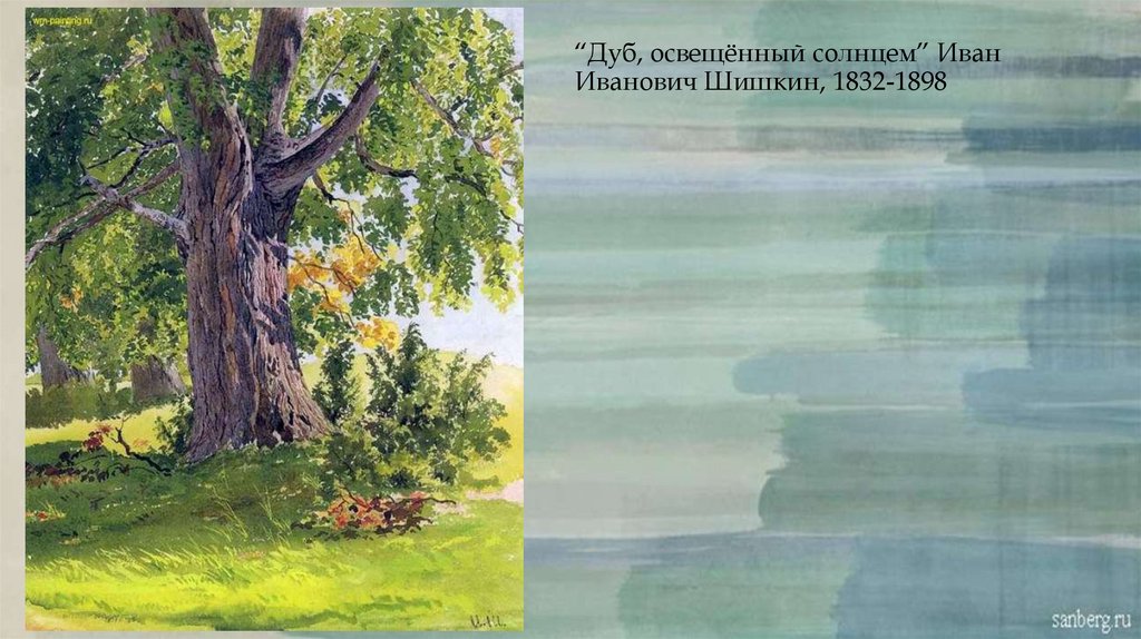 “Дуб, освещённый солнцем” Иван Иванович Шишкин, 1832-1898