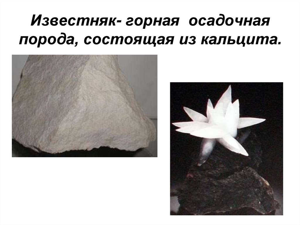 Известняк- горная осадочная порода, состоящая из кальцита.