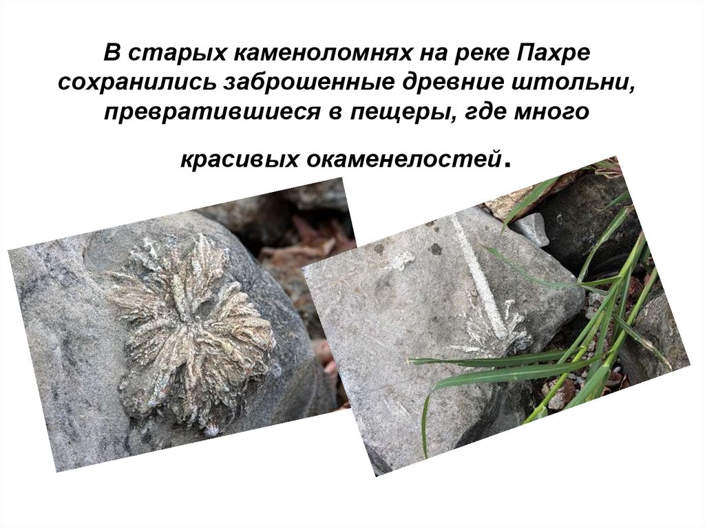 В старых каменоломнях на реке Пахре сохранились заброшенные древние штольни, превратившиеся в пещеры, где много красивых