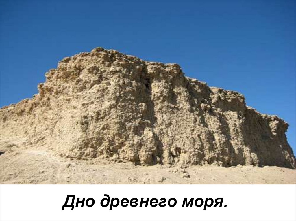 Дно древнего моря.