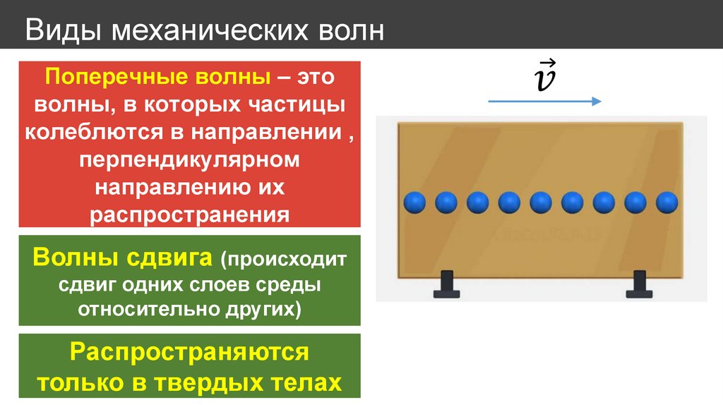 Виды механических волн