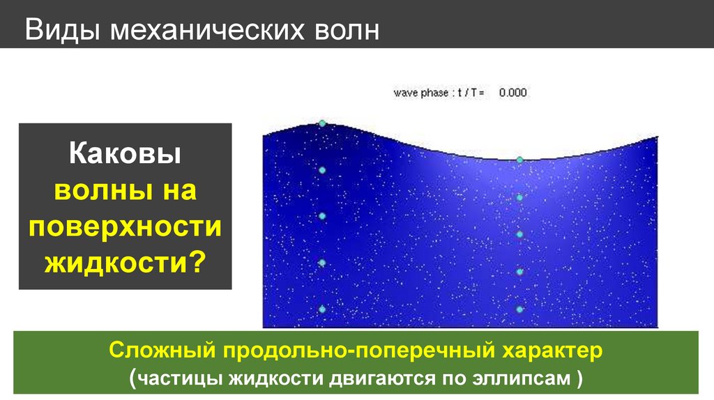 Виды механических волн