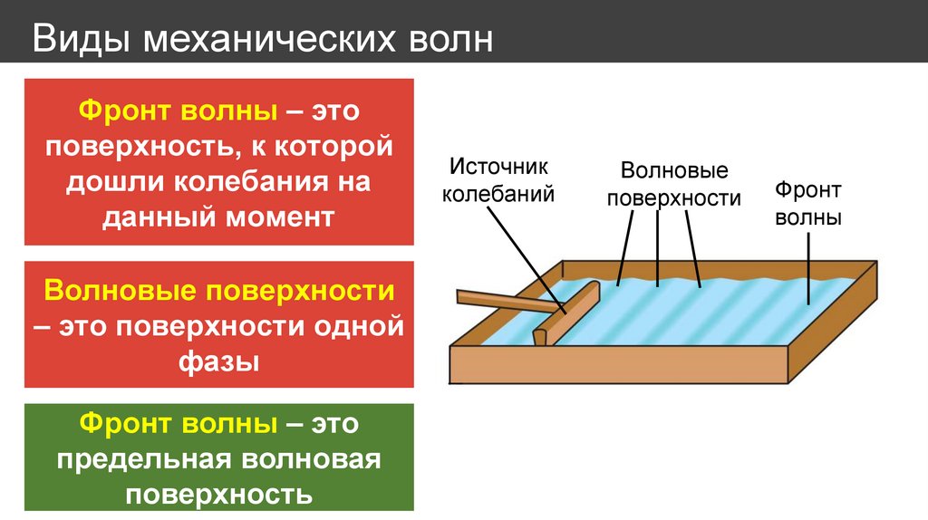 Виды механических волн