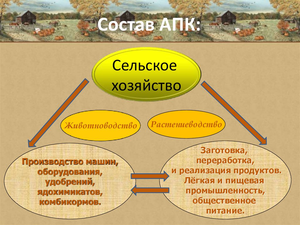 Состав АПК: