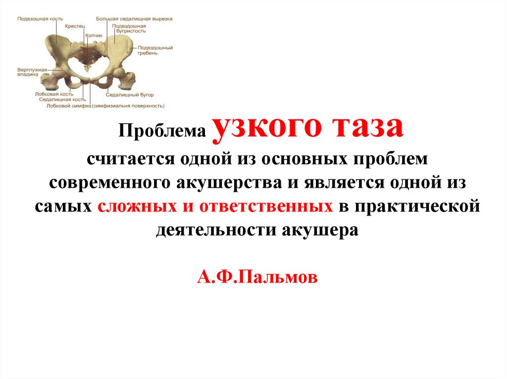 Проблема узкого таза считается одной из основных проблем современного акушерства и является одной из самых сложных и