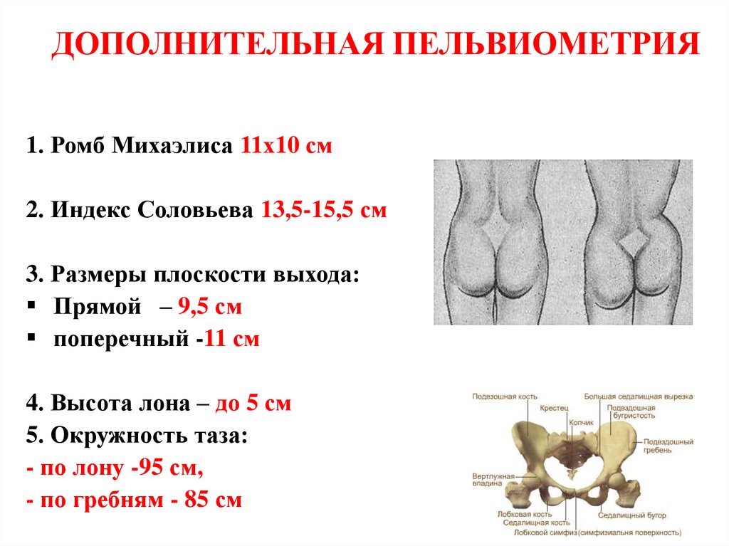 ДОПОЛНИТЕЛЬНАЯ ПЕЛЬВИОМЕТРИЯ