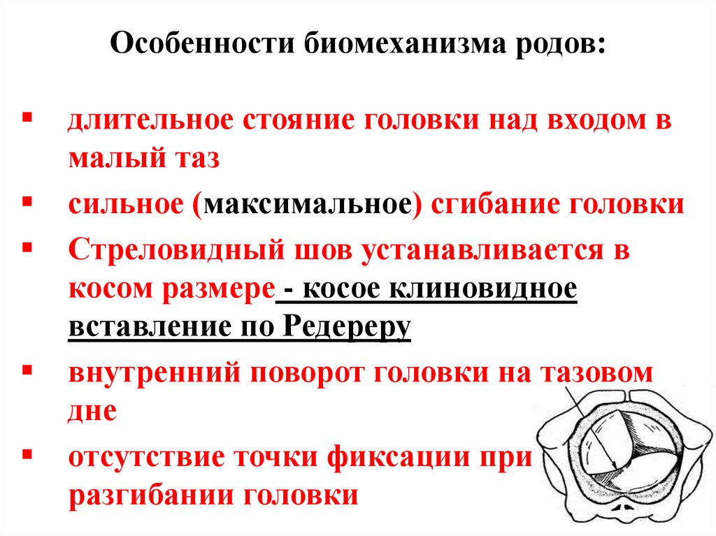 Особенности биомеханизма родов: