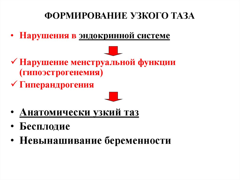 ФОРМИРОВАНИЕ УЗКОГО ТАЗА