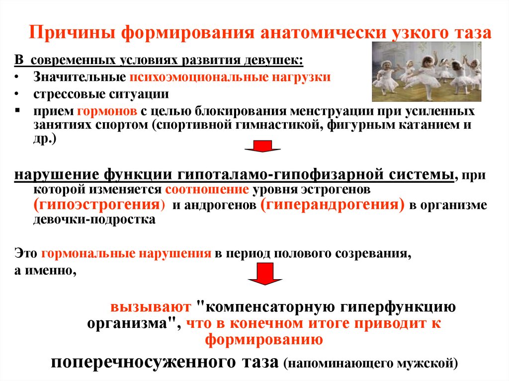 Причины формирования анатомически узкого таза