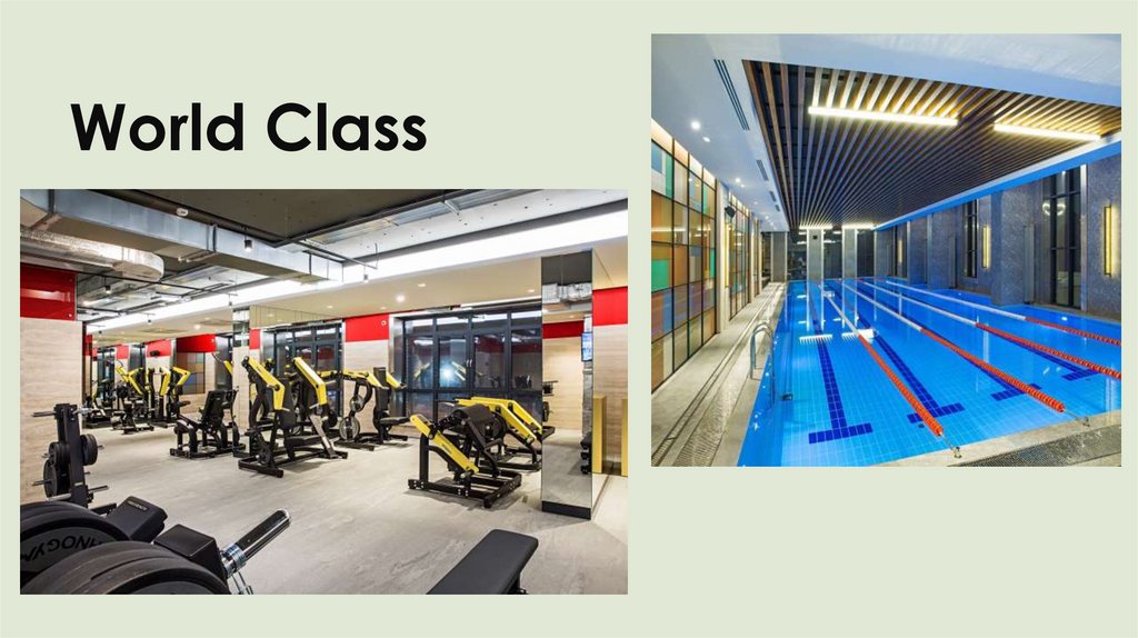 World Class