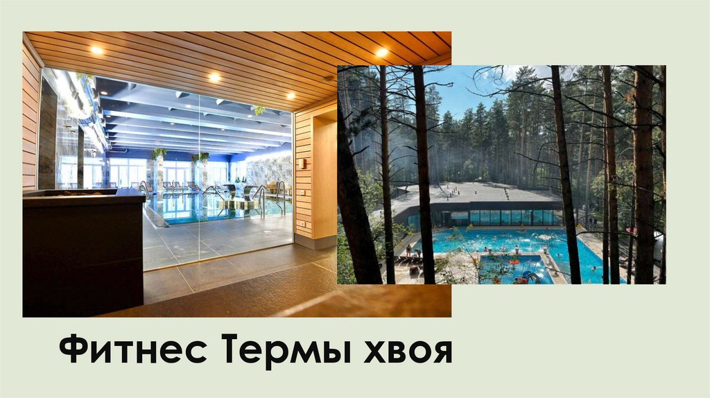 Фитнес Термы хвоя