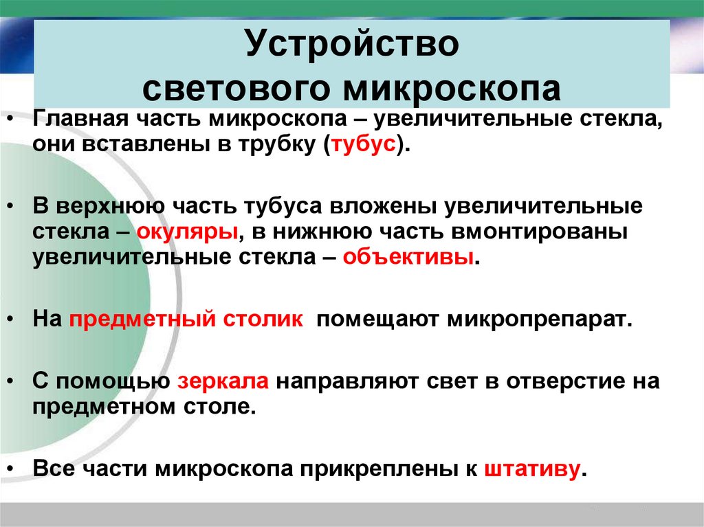 Устройство светового микроскопа
