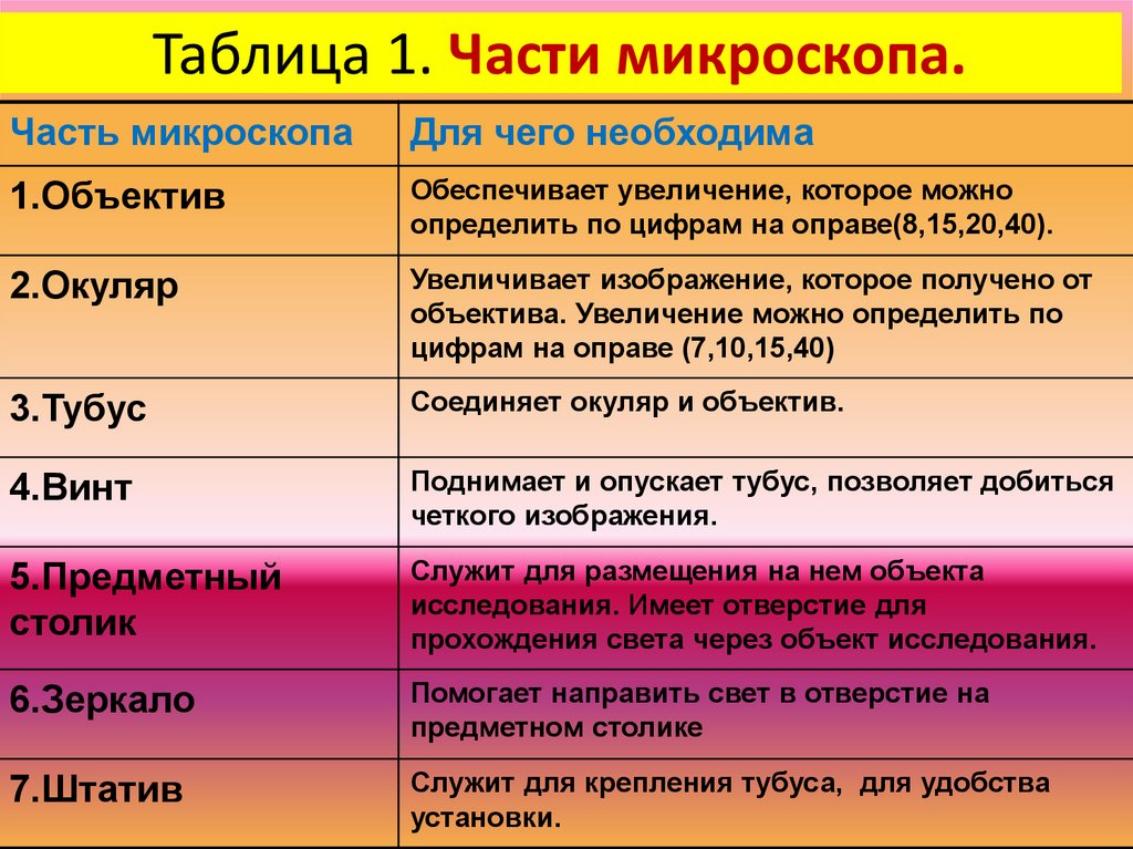 Таблица 1. Части микроскопа.