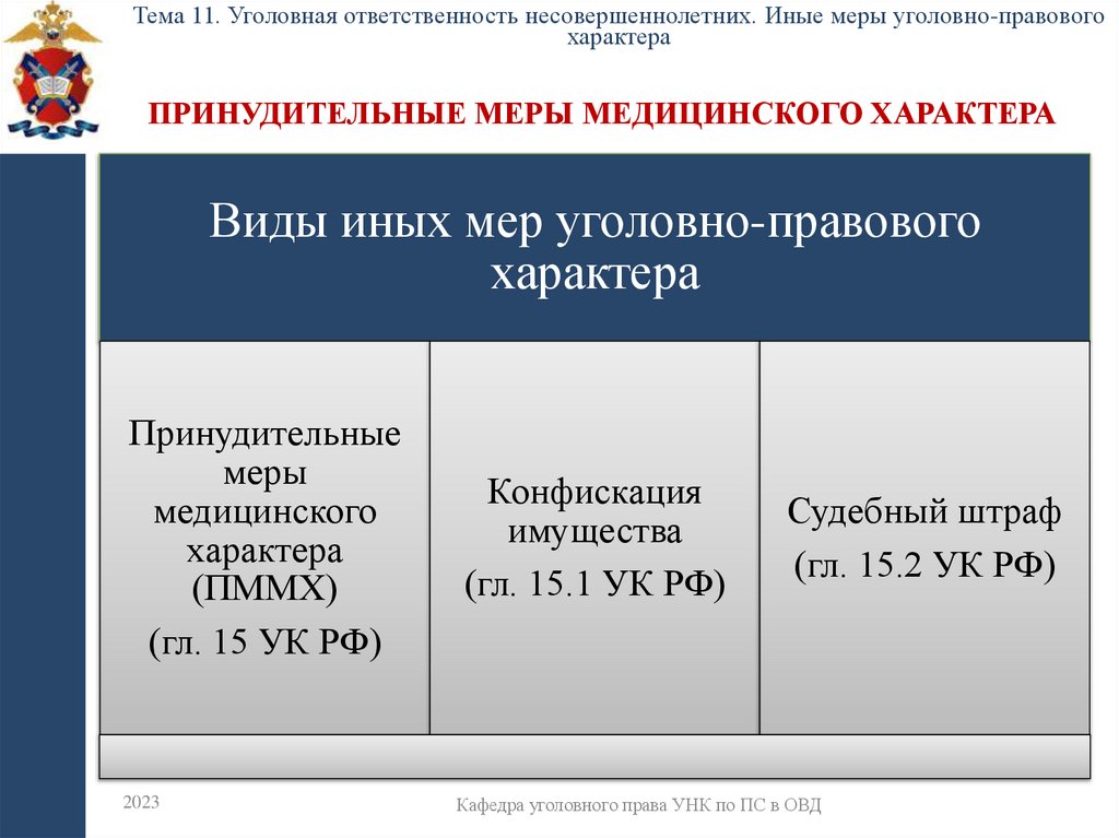 Принудительные меры медицинского характера