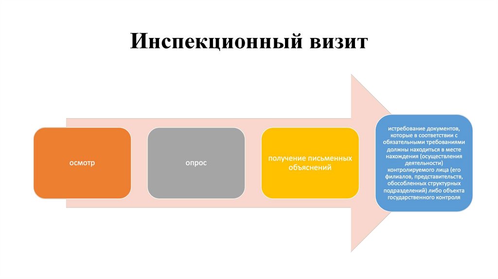 Инспекционный визит