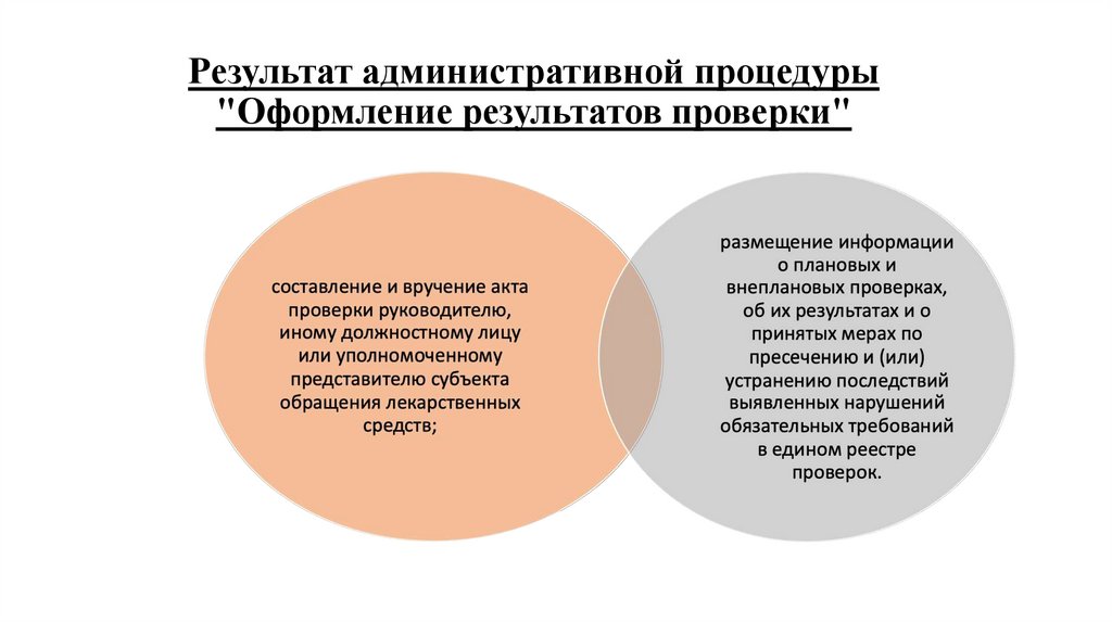 Результат административной процедуры "Оформление результатов проверки"